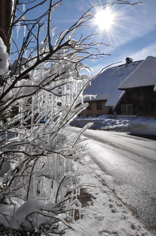 Hotel Hirschen Menzenschwand-Hinterdorf Exterior foto